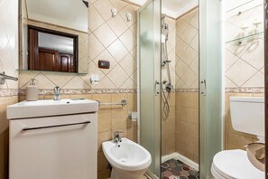 Shower, hair dryer, bidet, towels