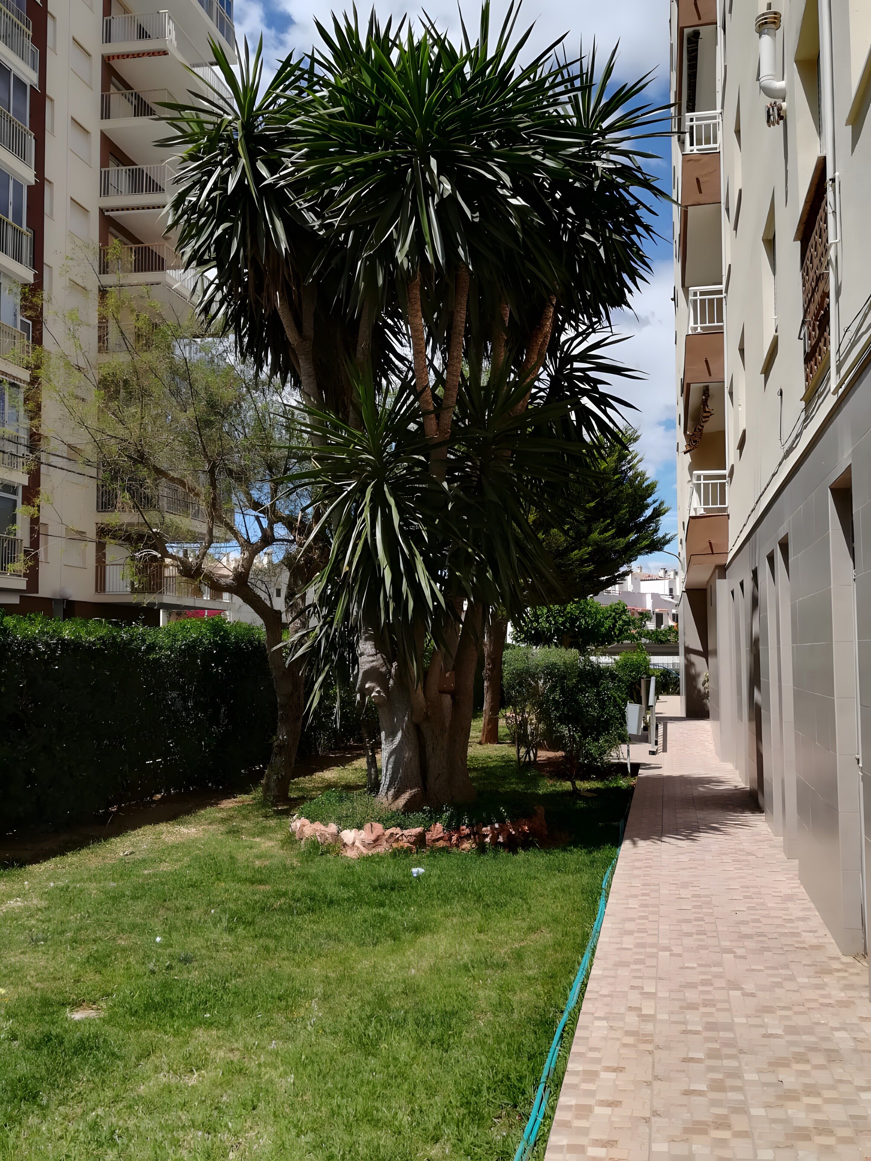 Overnatningsstedets område