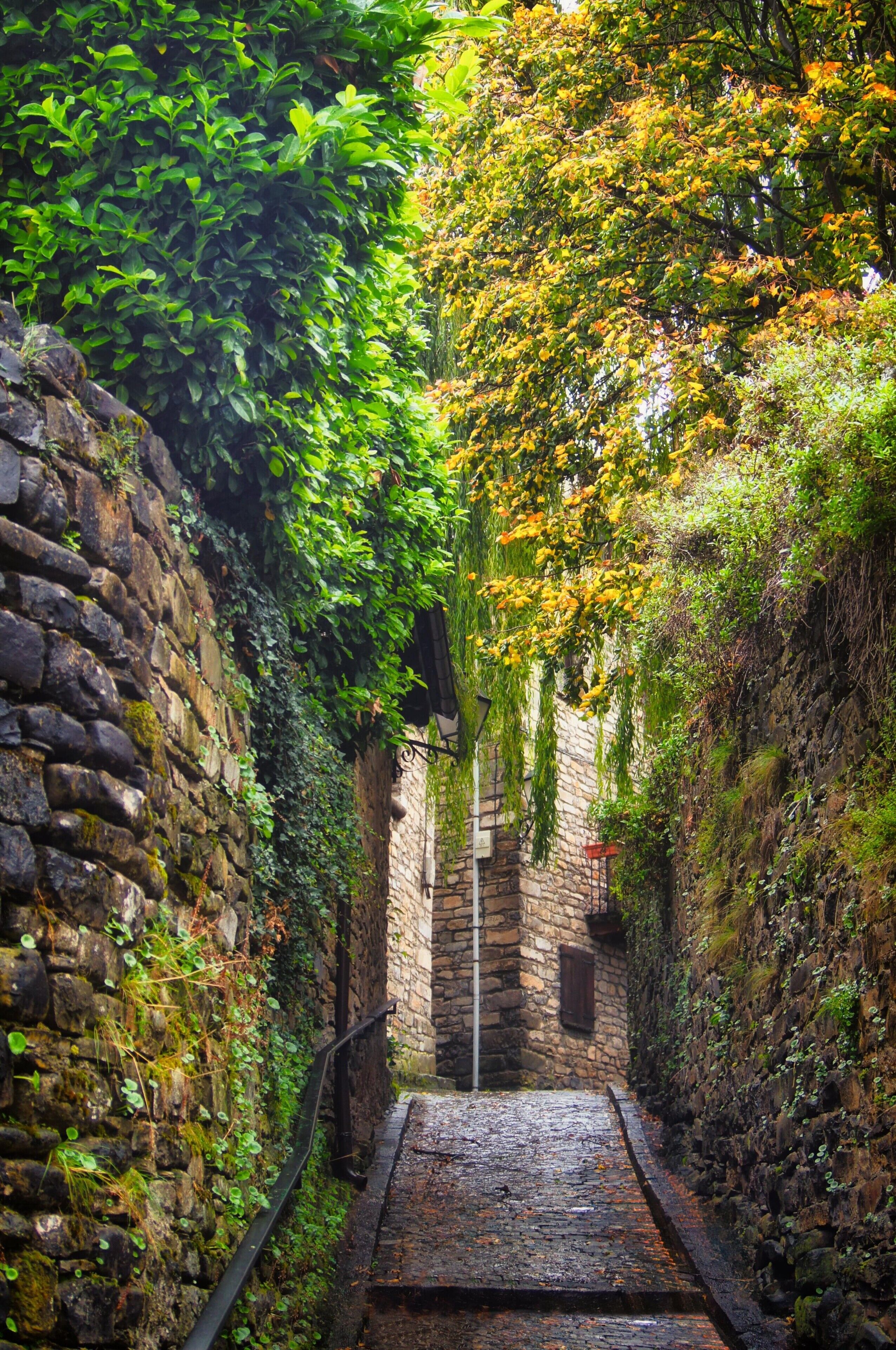 المنطقة المحيطة بالمنشأة