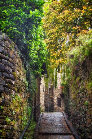 A narrow stone pathway flanked by lush greenery and a stone wall.