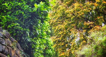 Country House 'Fajinadero Sancho' with Mountain Views, Private Garden and Wi-Fi