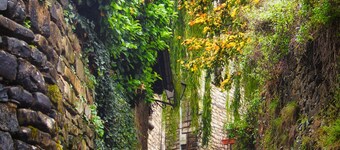Country House 'Fajinadero Sancho' with Mountain Views, Private Garden and Wi-Fi