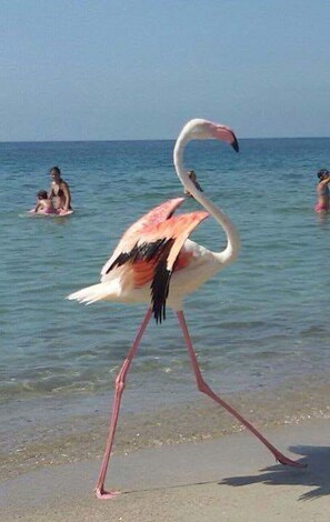 Ubicación cercana a la playa