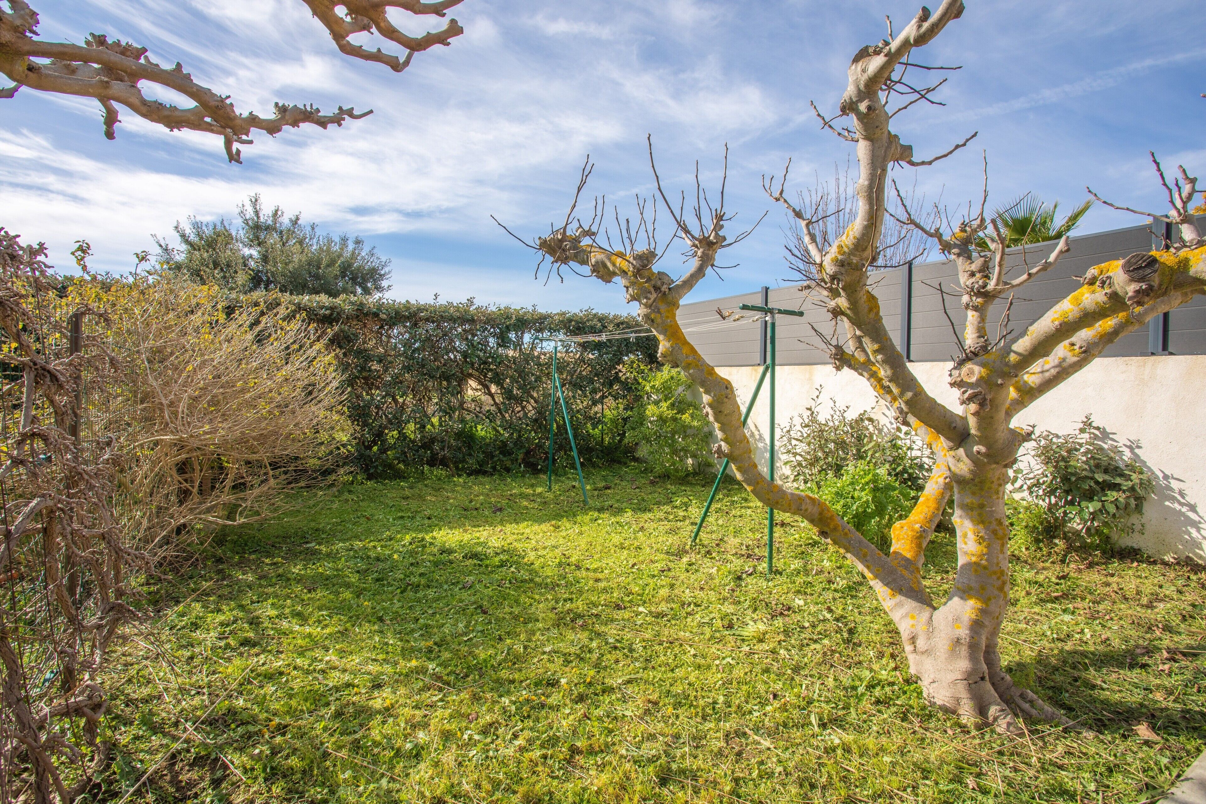 A grassy outdoor area with a tree, a fence, and a building in the background.