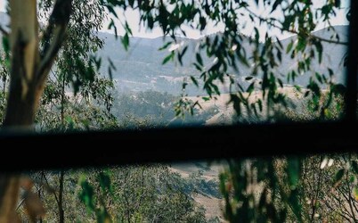 Bus & Hot Tub Secluded Eco Forest Retreat