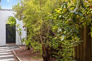 Property grounds - PA2  Noosa Sunshine Beach,RENO 2025,PETS (Sunshine Beach)