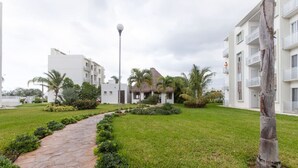 Un sendero conduce a un edificio con estructura de techo de paja, rodeado de follaje y palmeras.