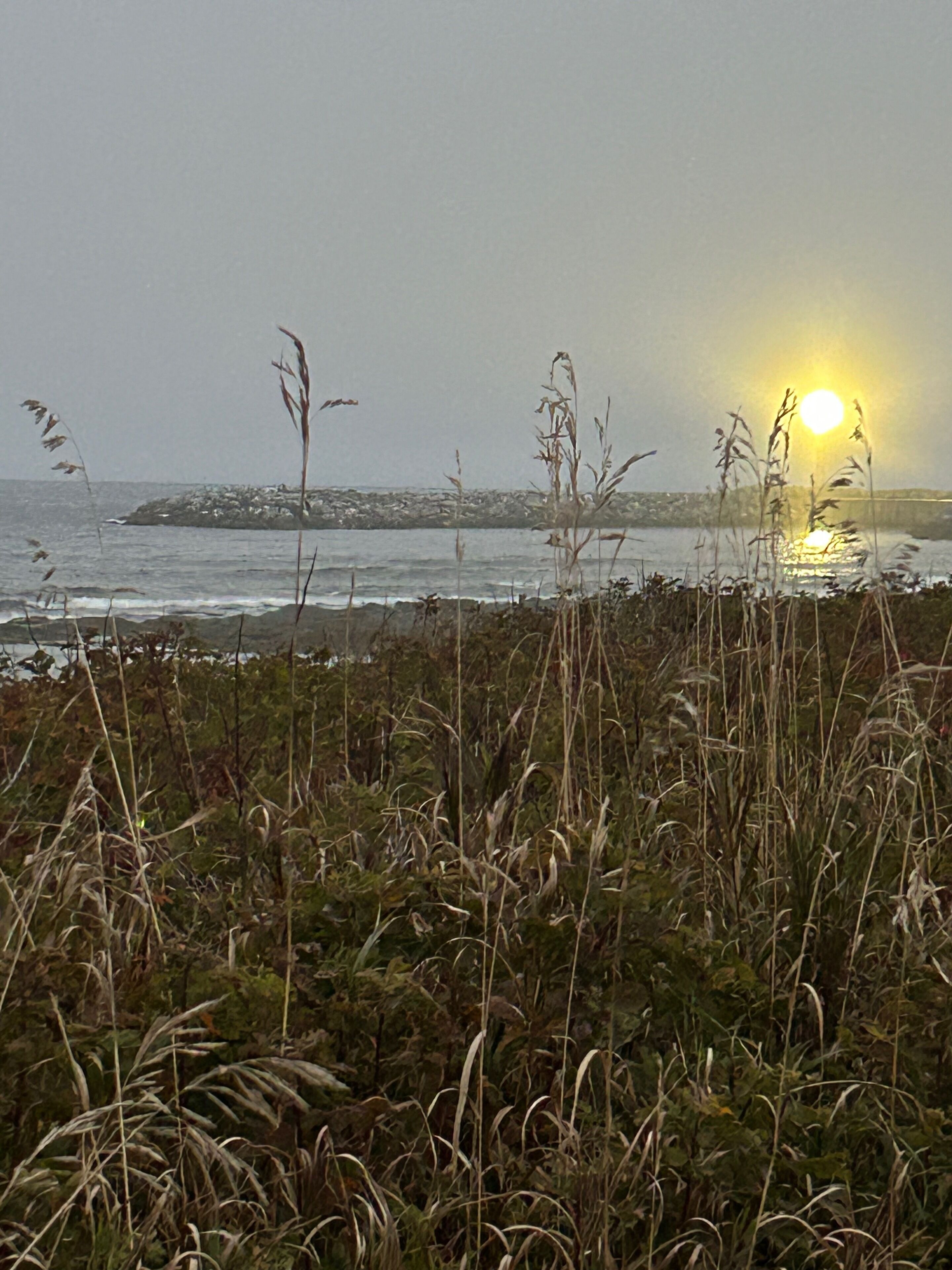 Kystlandskab med solnedgang, vegetation og en klippeformation i det fjerne.
