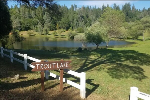 Property grounds - Cabin in the Placerville Mountain with Hot Tub, 4 bedrooms and 3 bathrooms. (Placerville)