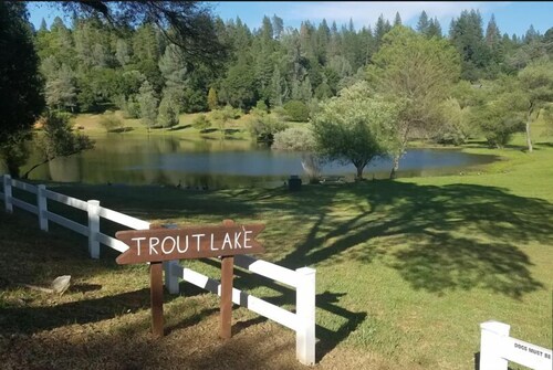 Cabin in the Placerville Mountain with Hot Tub, 4 bedrooms and 3 bathrooms. 