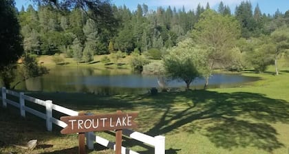 Cabin in the Placerville Mountain with Hot Tub, 4 bedrooms and 3 bathrooms.