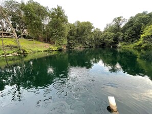 A calm lake surrounded by dense trees. - Lazy Oaks: Charming cabin on pond with A/C in delightful Little York, Illinois (Little York)