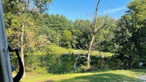 A serene lakeside view with a wooden dock extending into the water, surrounded by lush greenery and trees.