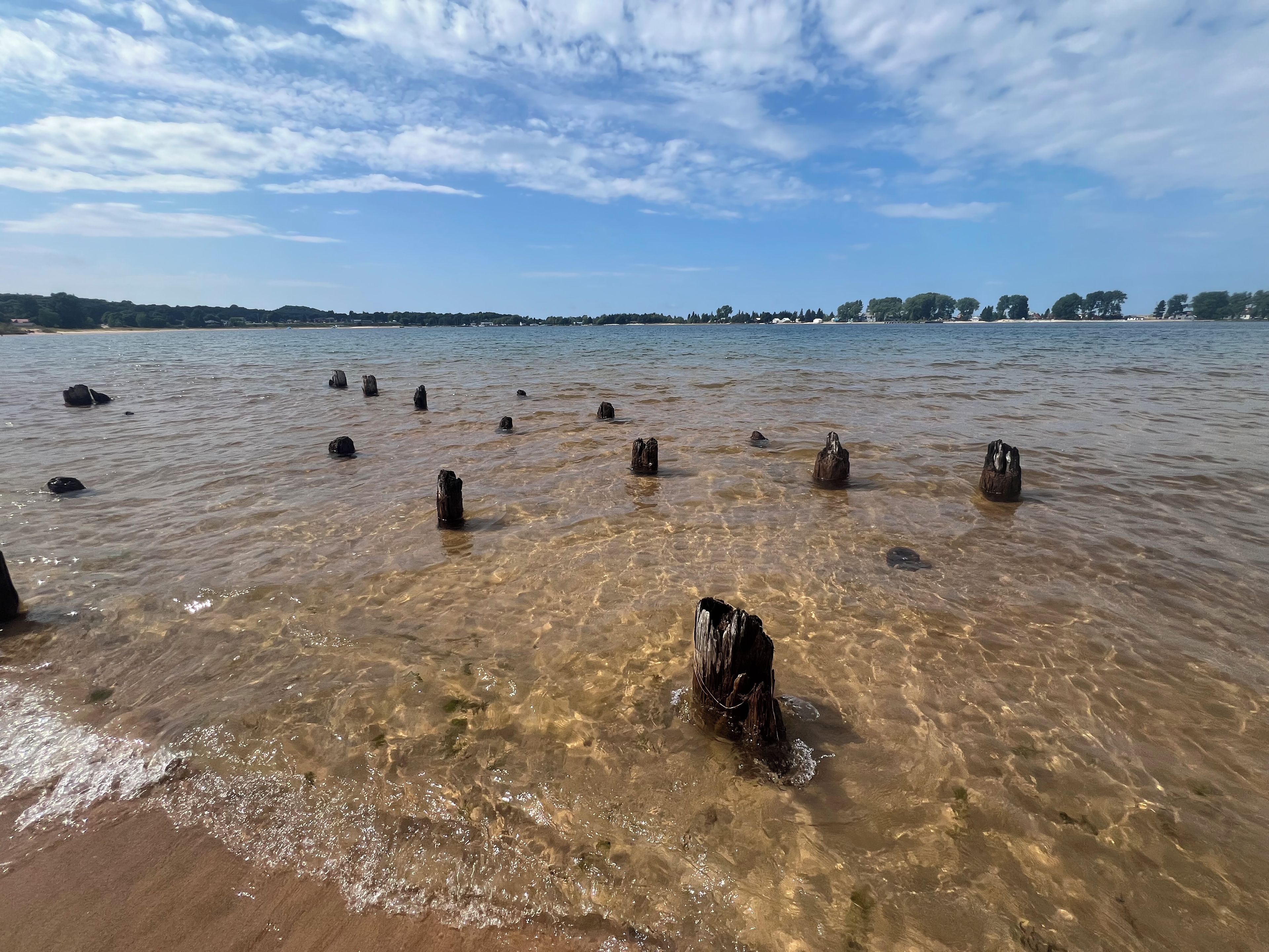Una spiaggia con acque limpide e pali di legno sommersi.