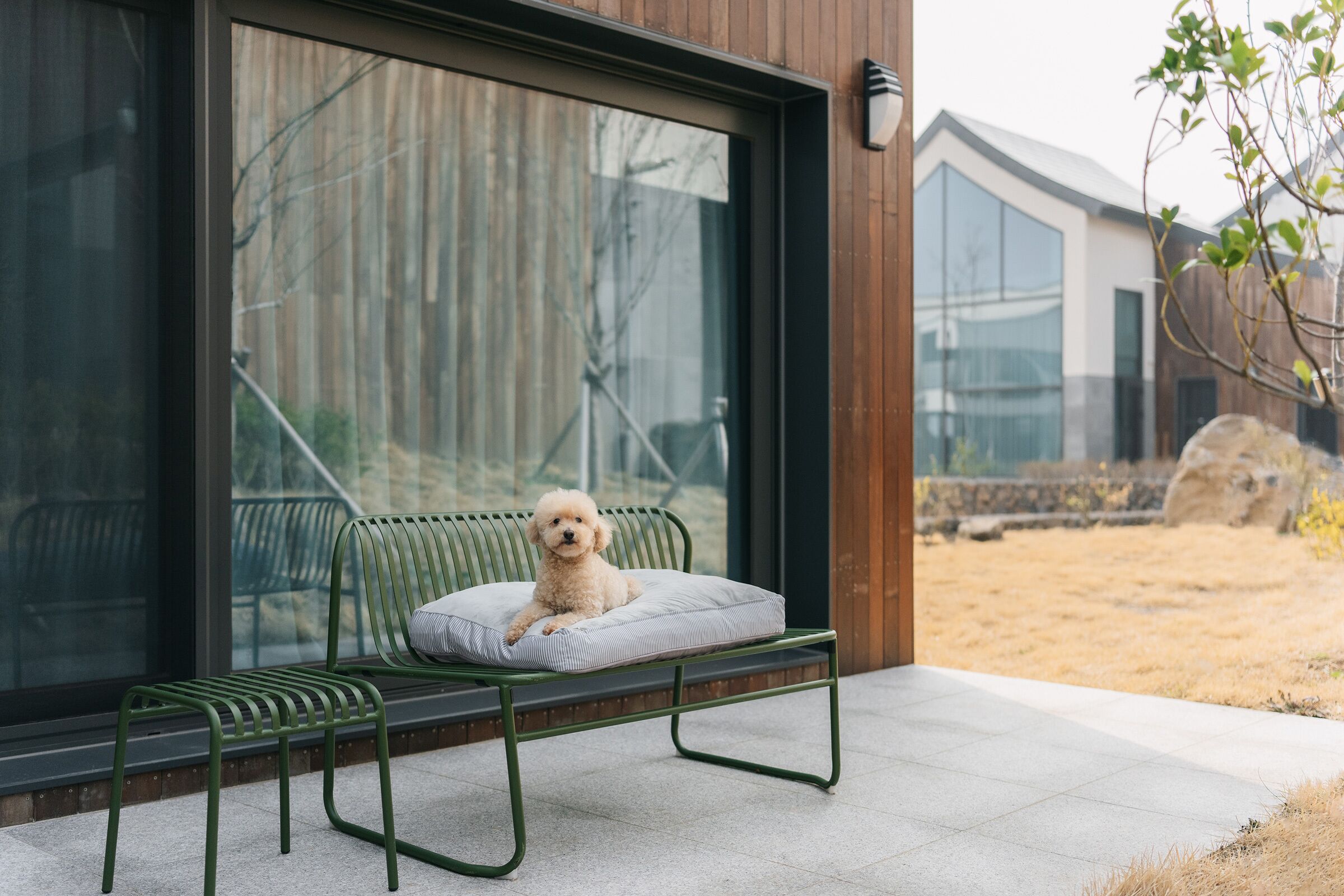 A small dog sitting on a green metal bench with a white cushion in a modern outdoor setting.