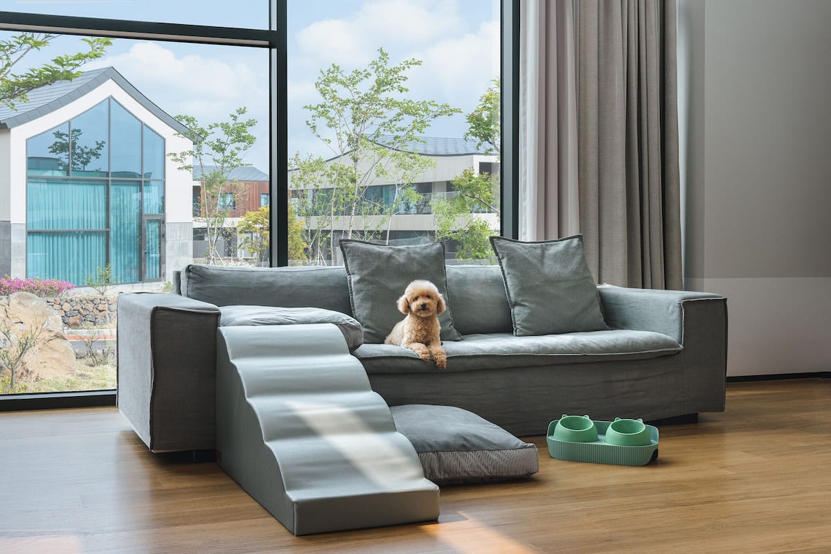 BIZART PET(Garden Suite) | 1 bedroom, down comforters, blackout drapes, iron/ironing board