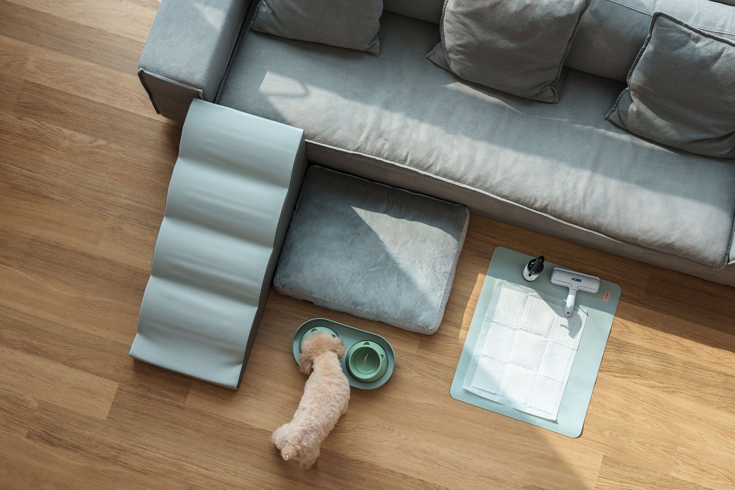 A pet bed, a green tray with bowls, and a clipboard on a wooden floor.