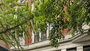 Un edificio a più piani con un ingresso centrale, una scala e un'ampia finestra.