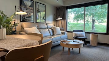 TV connectée, cheminée, livres