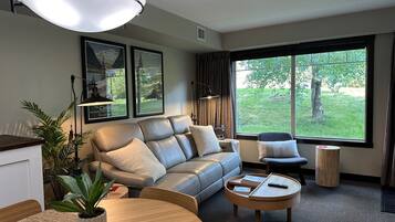 TV connectée, cheminée, livres