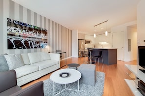 TV - Modern 1 Bedroom in Downtown Boston (Boston)