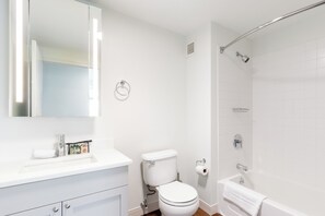 Hair dryer, shampoo - Spacious One Bedroom in Cambridge with Amenities (Cambridge)