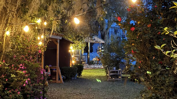 An outdoor garden area with string lights, a wooden structure, and various plants.