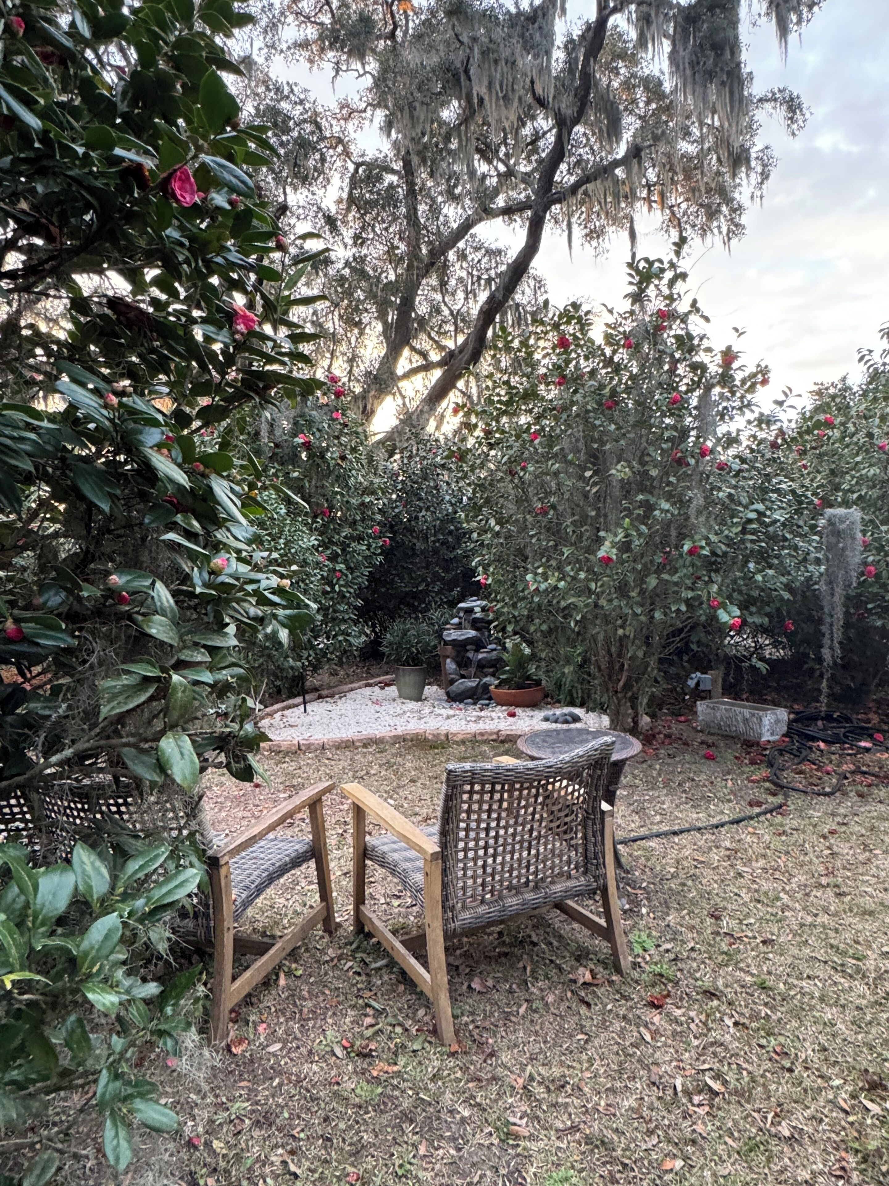 Un jardin avec une table ronde et deux chaises, entouré de différentes plantes et arbres.