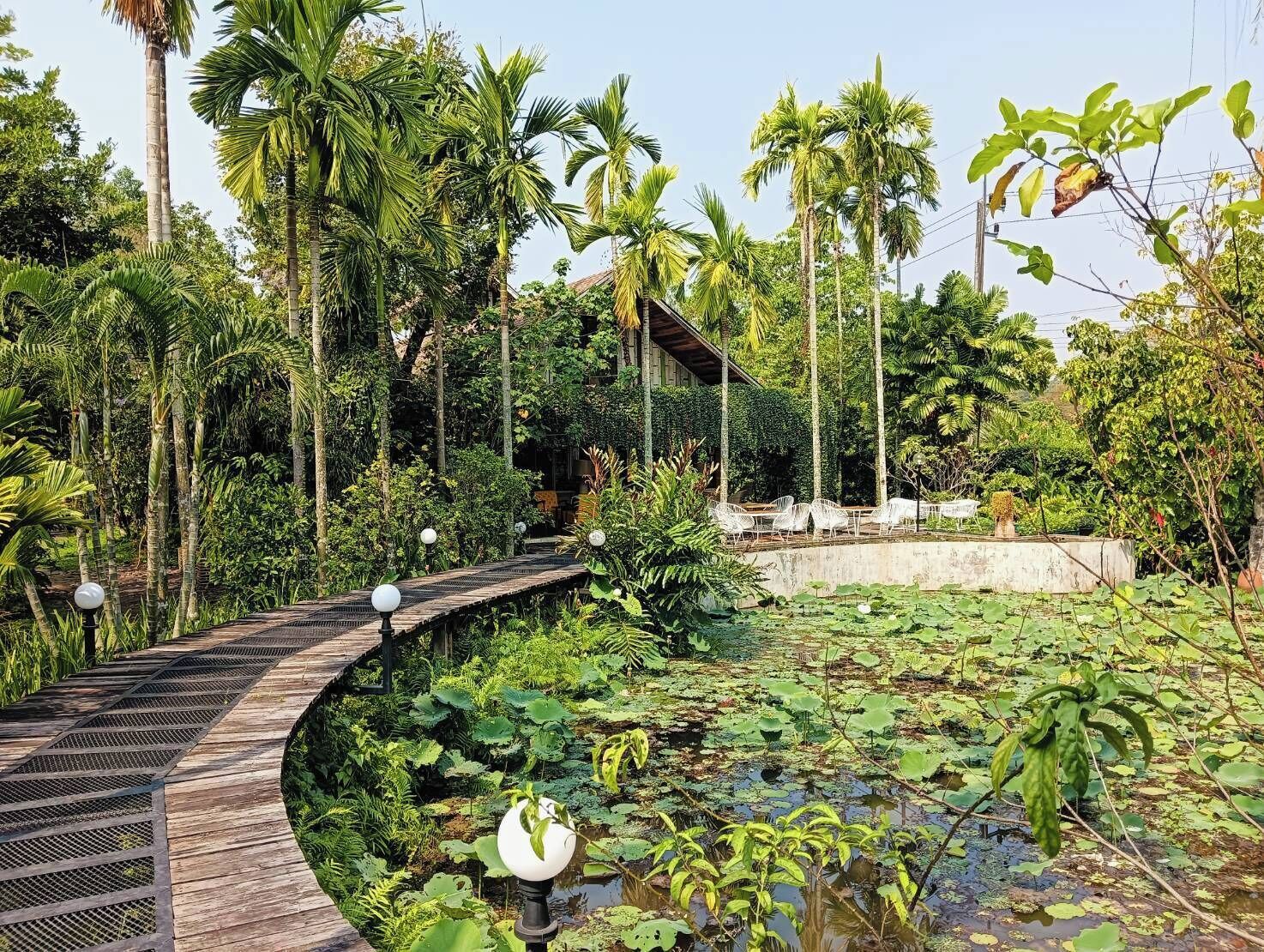 A wooden boardwalk leading through a lush garden with a pond and various tropical plants.