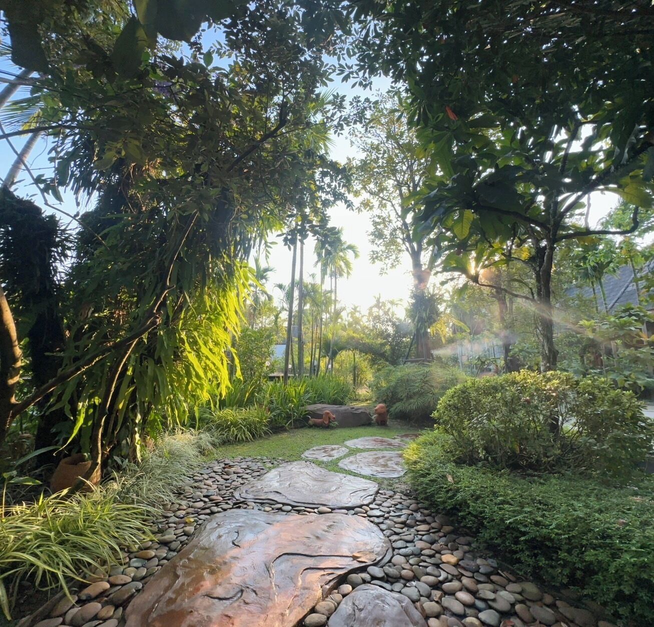 Un sendero en un jardín con borde de piedra, rodeado de abundante vegetación y árboles.