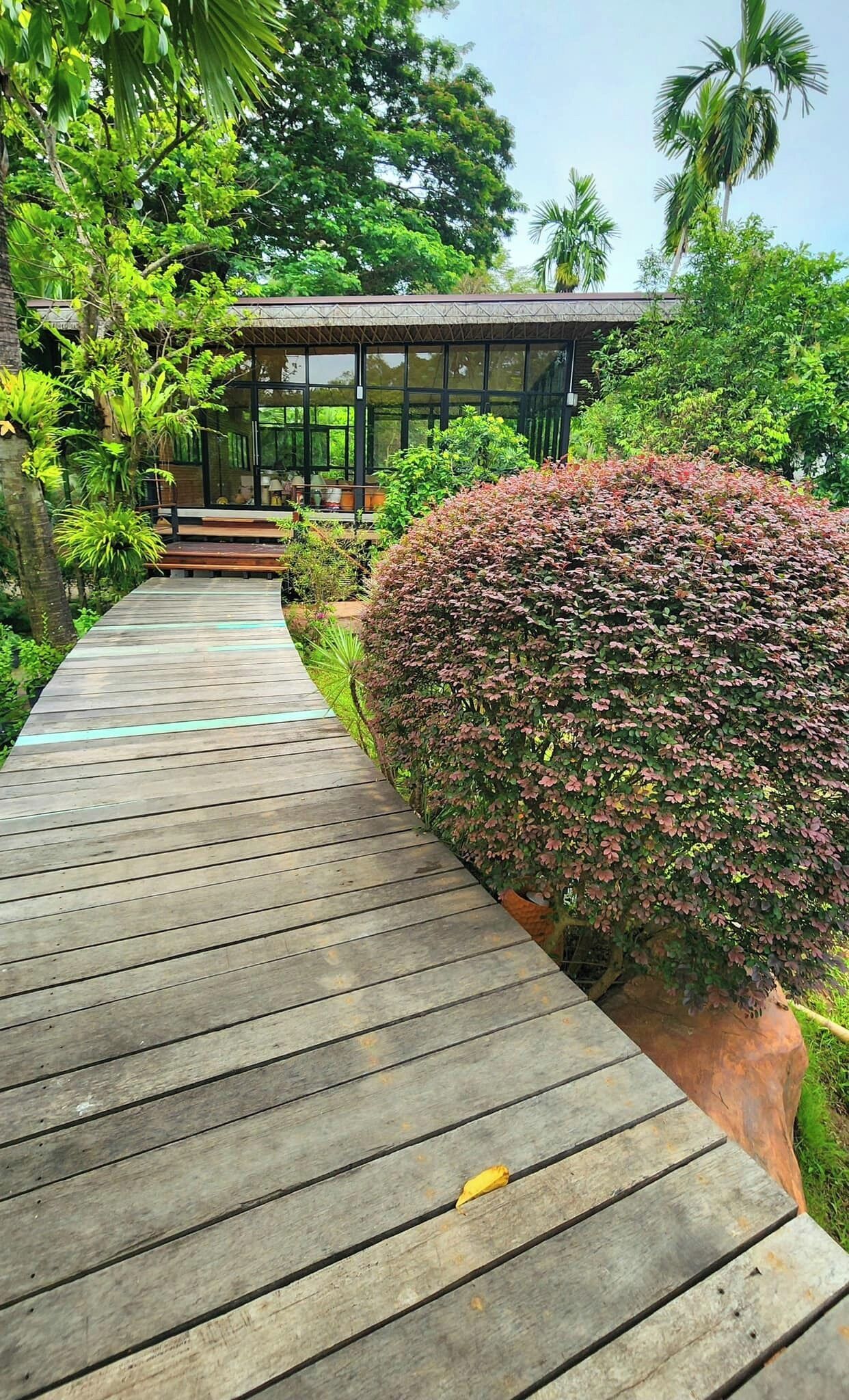 บริเวณภายนอก