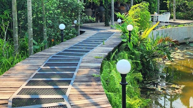 Un sendero de madera que conduce a un edificio rodeado de abundante vegetación y un estanque.