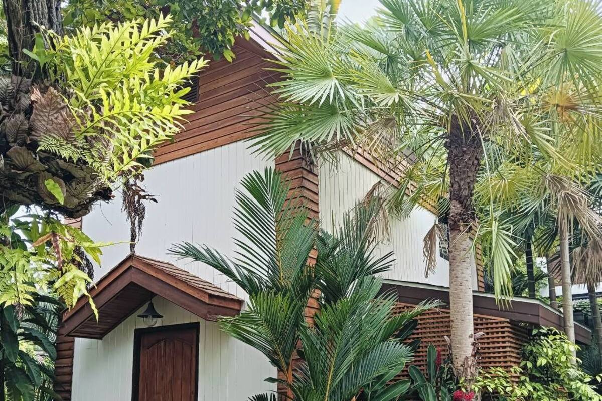 Una casita con puerta de madera, rodeada de abundante vegetación, incluyendo palmeras y helechos.