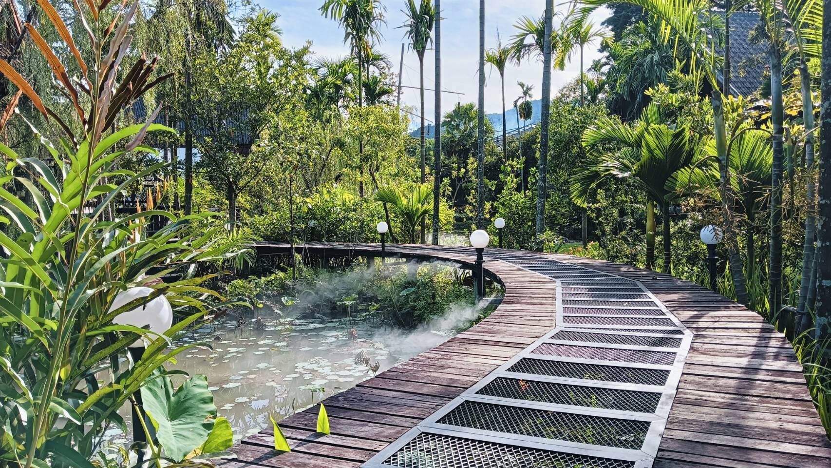 A wooden boardwalk with a pond and lily pads, surrounded by lush greenery and palm trees.