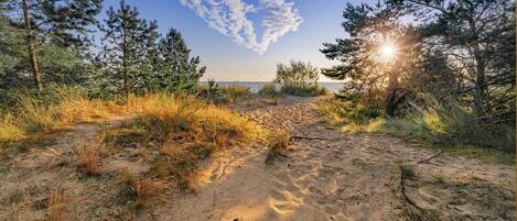 Strand