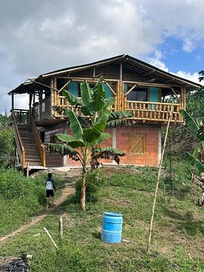 Exterior - COUNTRY COTTAGE IN THE HEART OF THE COFFEE REGION! 300 METERS FROM THE RIVER. (Cestillal)