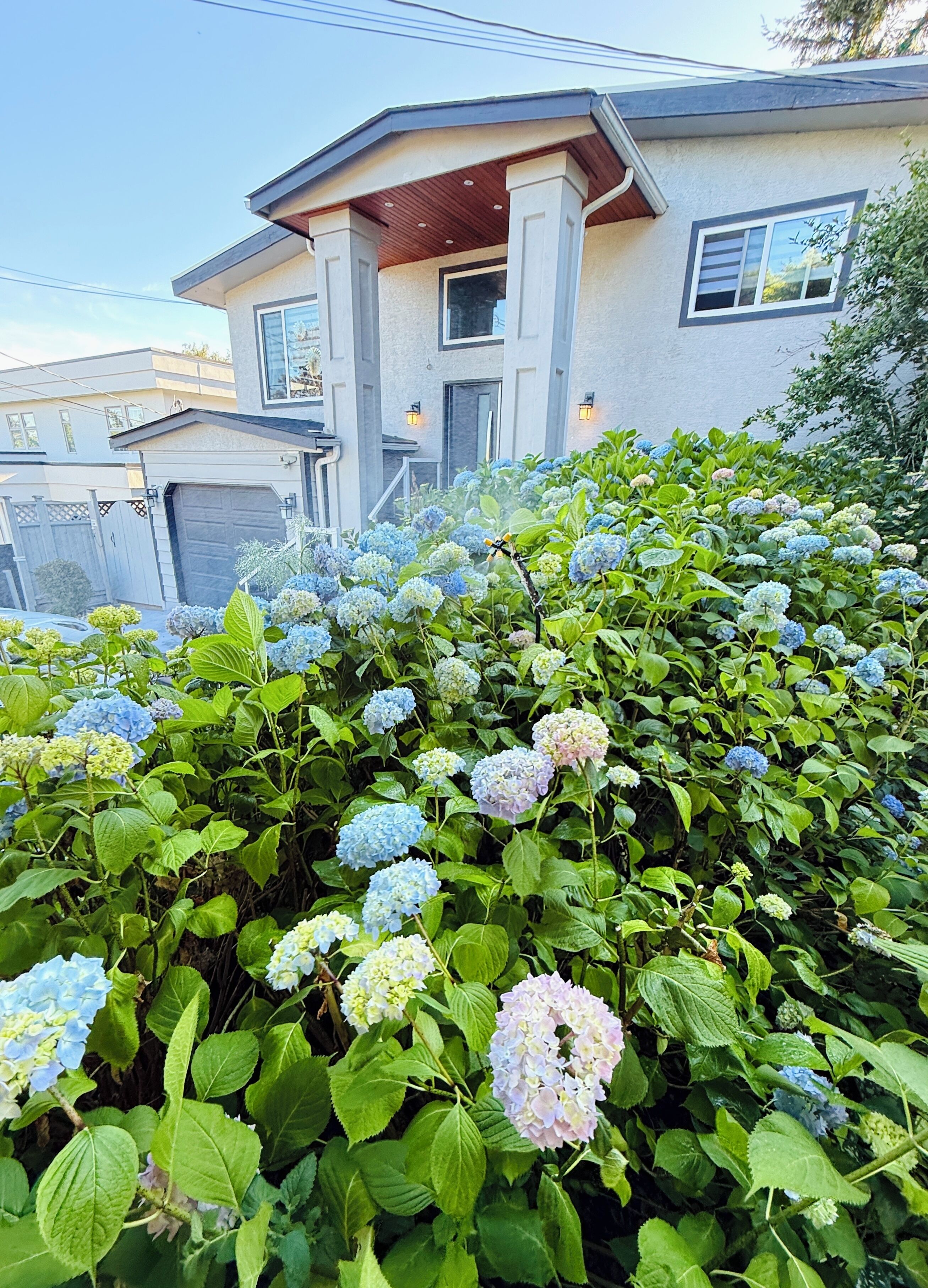 Ein Haus mit überdachter Veranda, Garage und einem Garten mit Hortensien.
