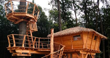 Treehouse 2 by Interhome