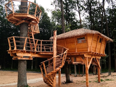 Treehouse 2 by Interhome