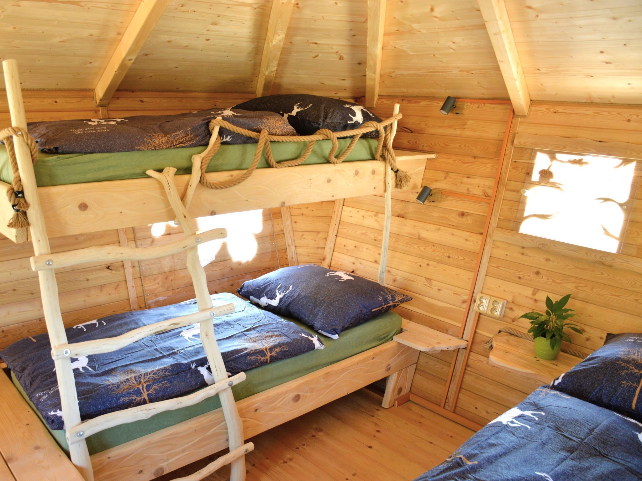 A wooden cabin with bunk beds, a small table, and a potted plant.