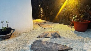 Ein sandiger Außenbereich mit Kübelpflanzen und einer Steinsäule.