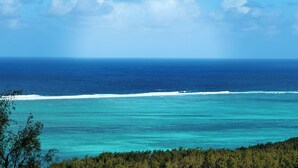 Blick auf die Küste mit klarem Himmel, dem Meer und einem bewaldeten Gebiet.
