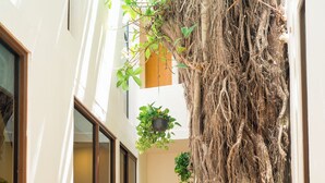 A narrow indoor corridor with a large tree trunk, potted plants, and sliding glass doors. - Hotel Florita39 (Isla Mujeres)