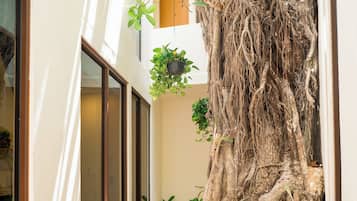 Comfort Studio Suite, 1 King Bed | 1 bedroom, in-room safe, blackout drapes, free WiFi