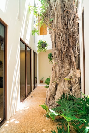 Caja de seguridad en la habitación, cortinas blackout y wifi gratis