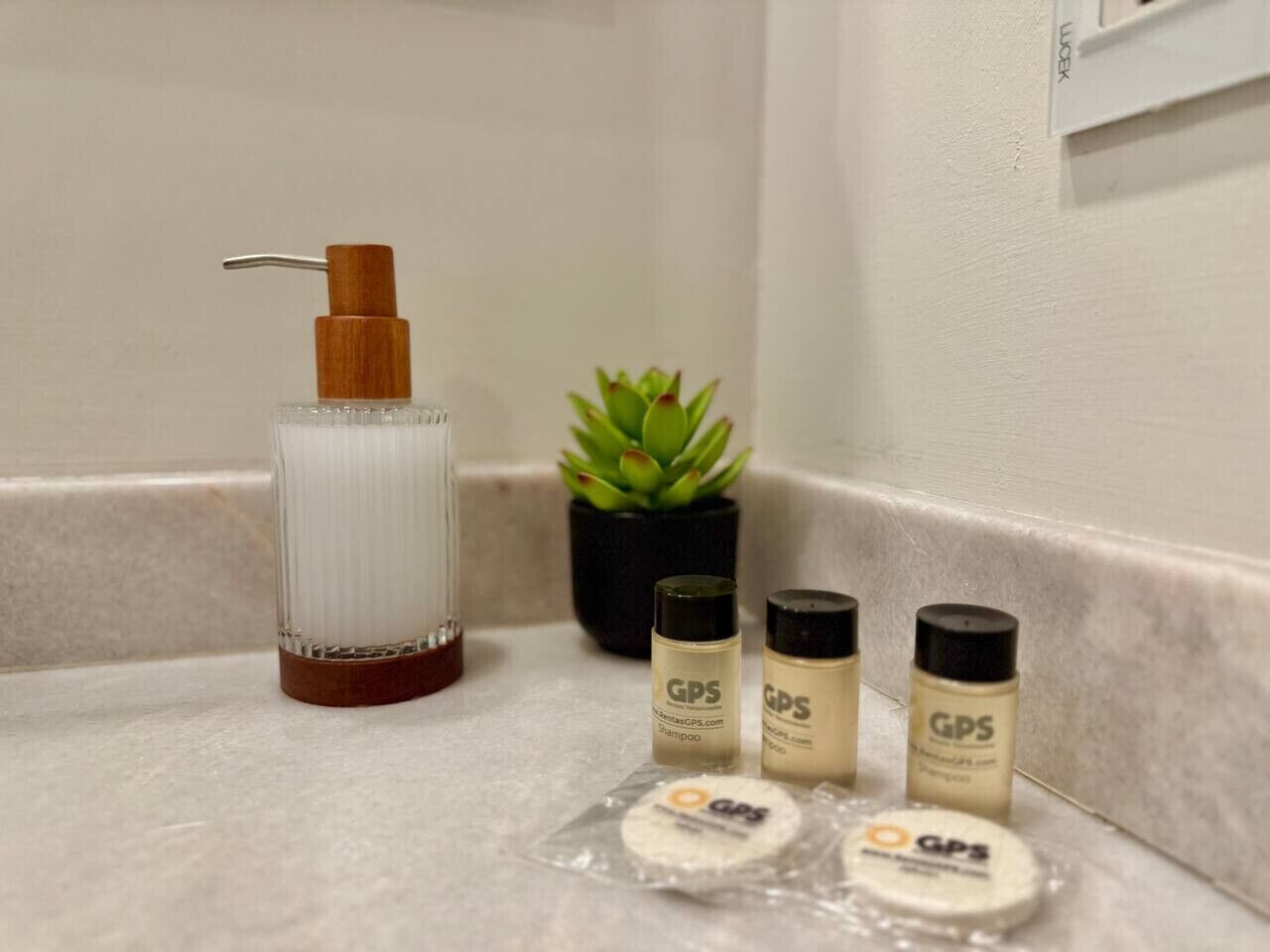 A bathroom counter with a hairdryer, a small potted plant, and four bottles labeled 'GPS'.