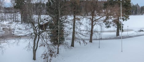 A snowy landscape with trees and a clear sky.