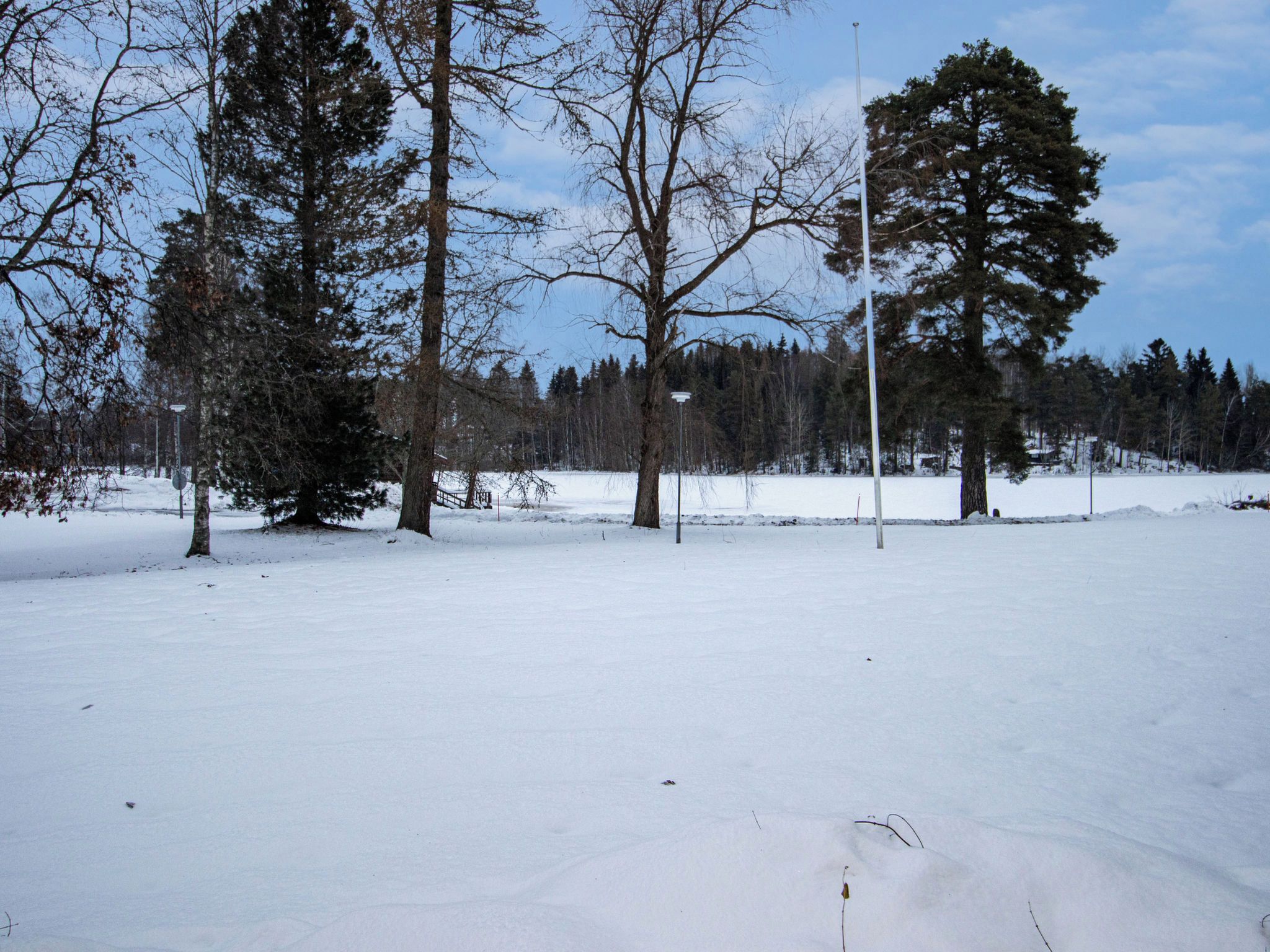 A snowy landscape with trees and a clear sky.