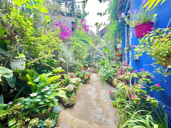 Property grounds - " La Corte Azzurra Room " (Bari Sardo)