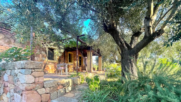 A stone-walled building with a covered patio, surrounded by greenery and trees. - " La Pergola Deluxe " (Jerzu)